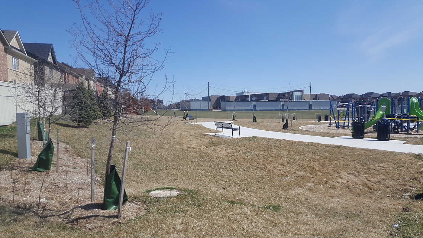 Beckett Park – Construction detail