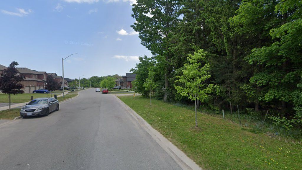 Mid-block Bishop Drive right-of-way with curbs, street trees, homes, and driveway entrances