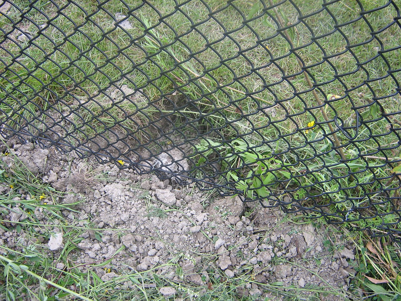 Artificial wetland construction