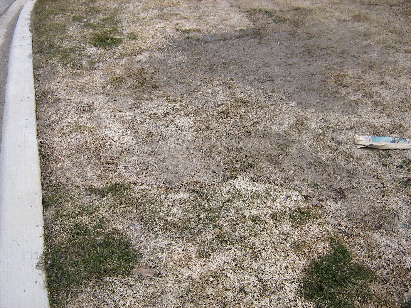 Residential lot grading
