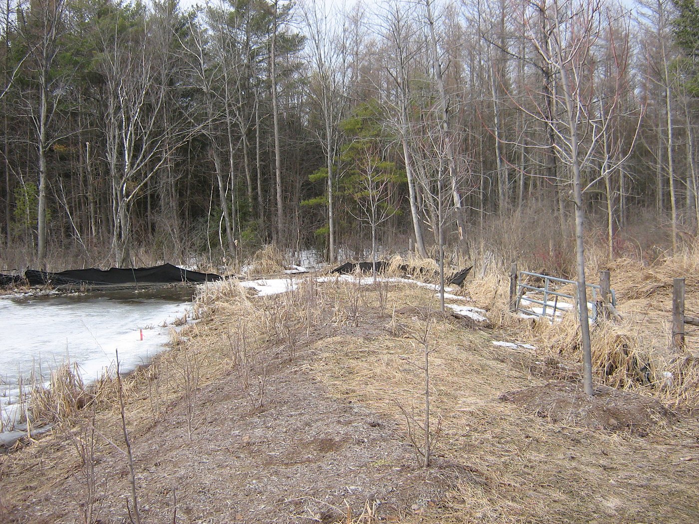 Site drainage infrastructure