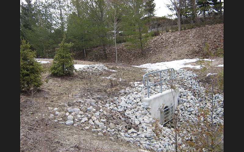 Bloomington Forest Subdivision construction