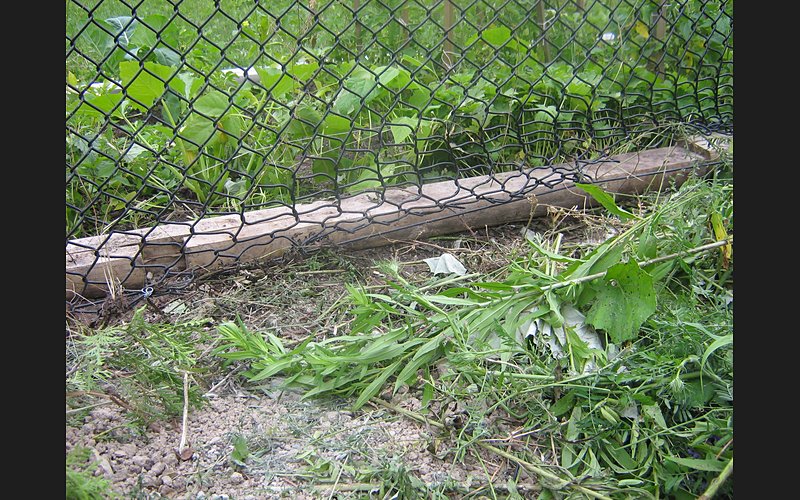 Bloomington Forest Subdivision site work