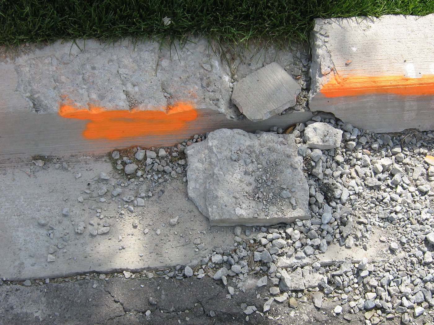 Model home construction and landscaping