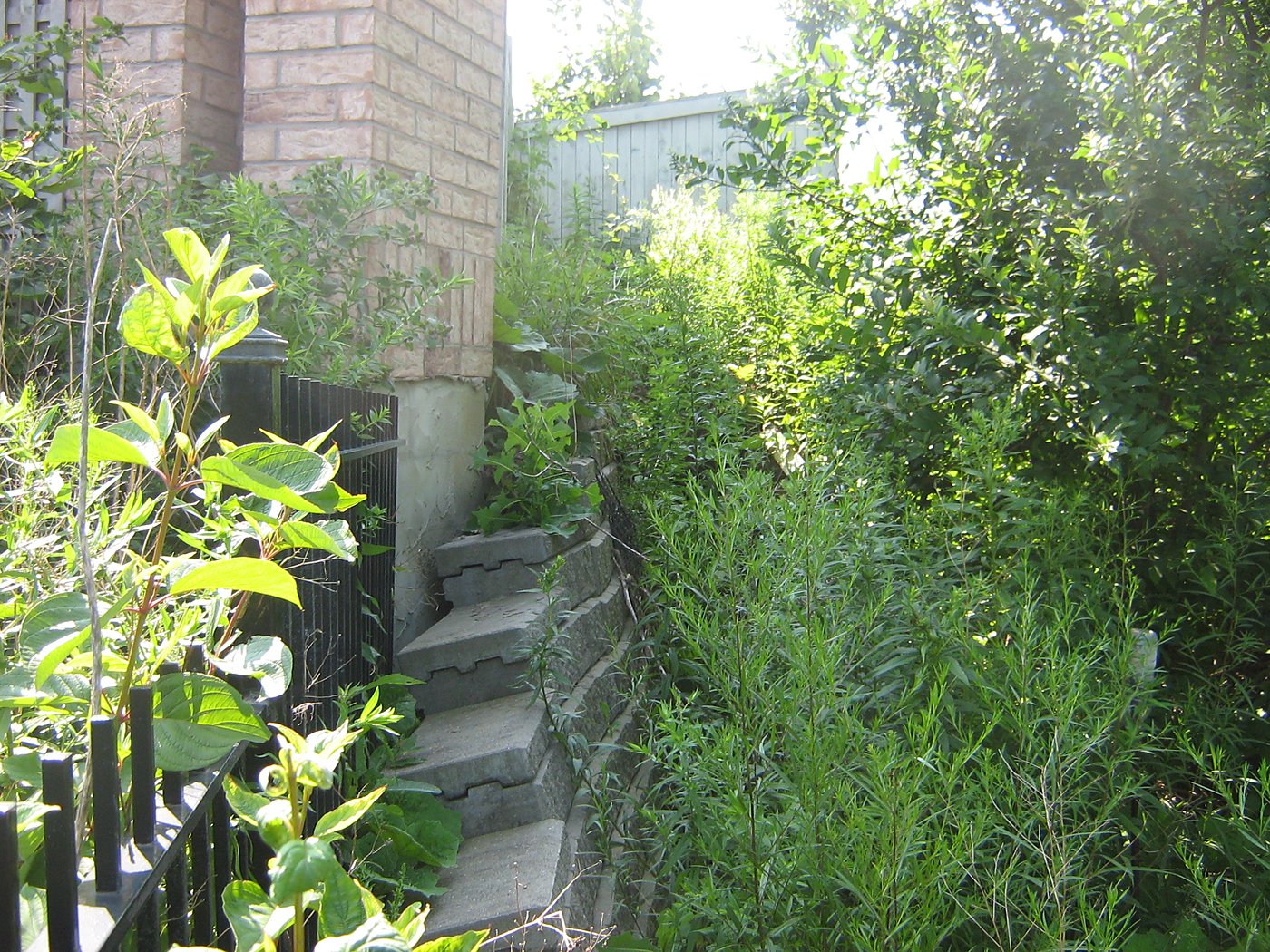 Completed estate home with landscaped frontage