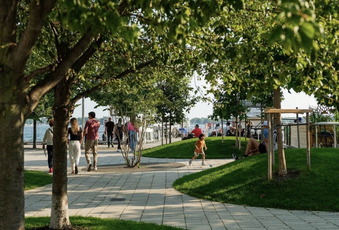 Harbourfront Centre Community Square – Walkway through the tree grove at the edge of the square with Lake Ontario beyond
