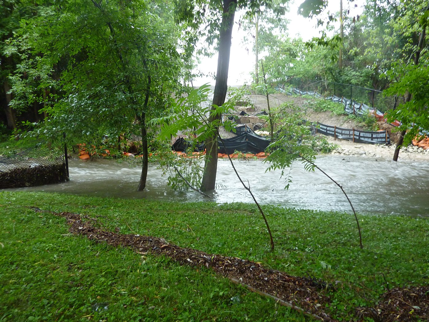 Storm sewer and catch basin work