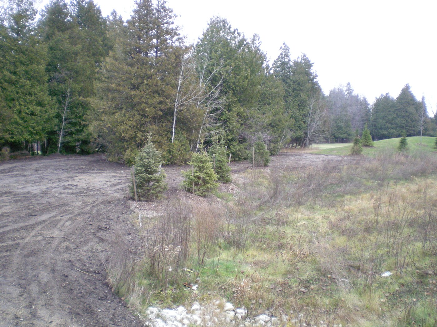 Condominium site preparation and excavation