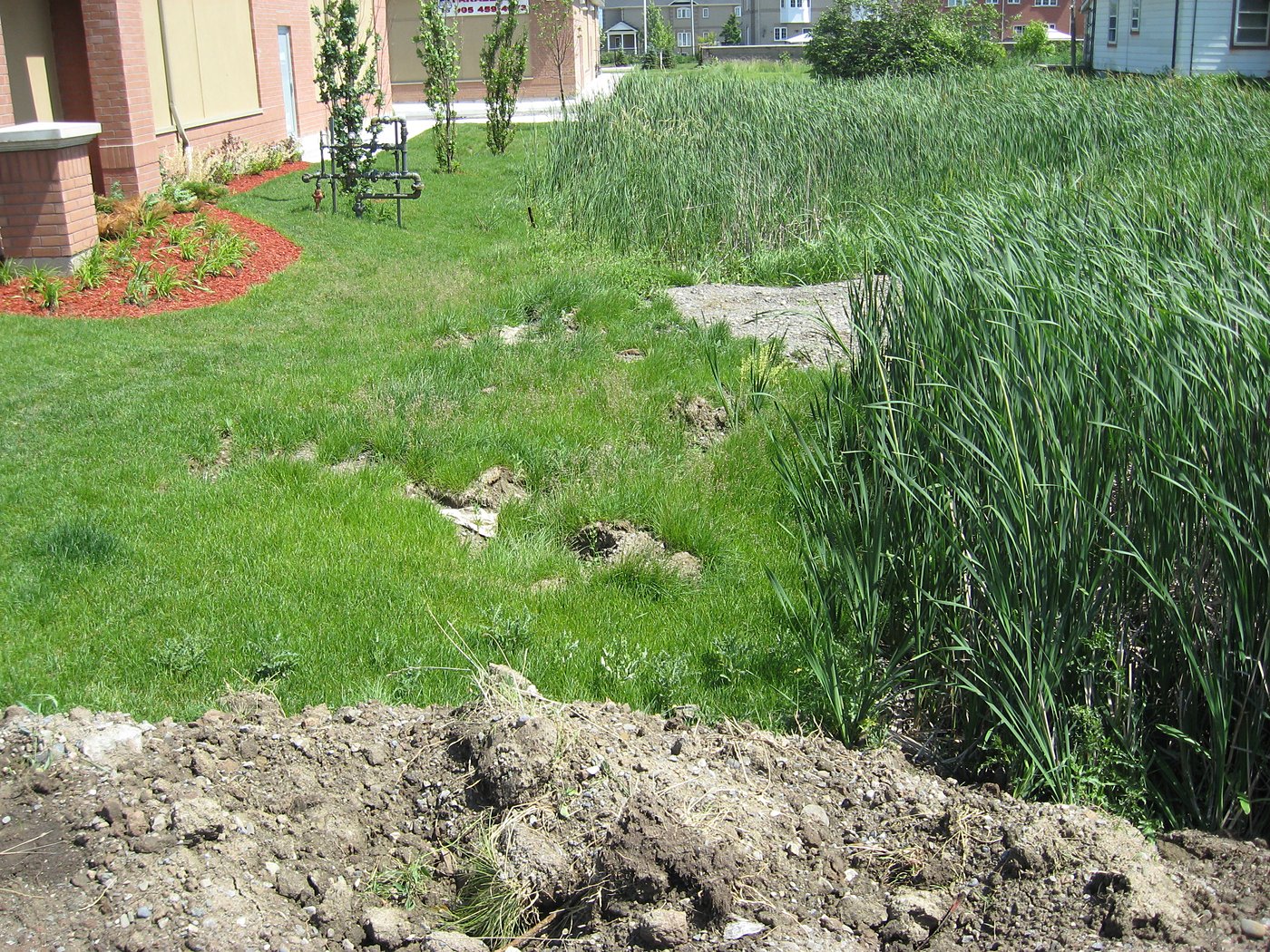 Sidewalk and curb construction