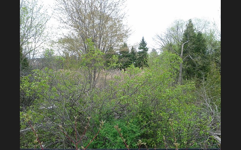 Plan B Homes Subdivision site work