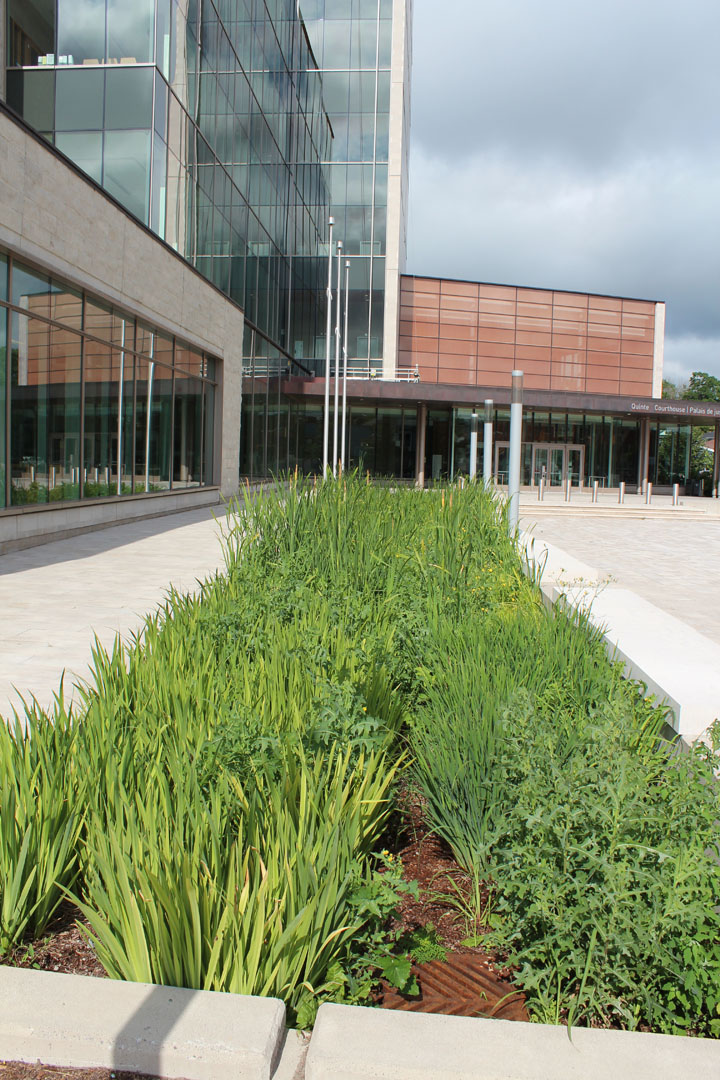 Quinte Consolidated Courthouse – Site overview