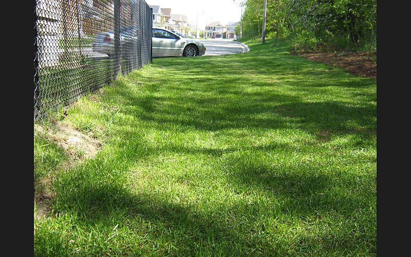 Stanford Residential Subdivision site work