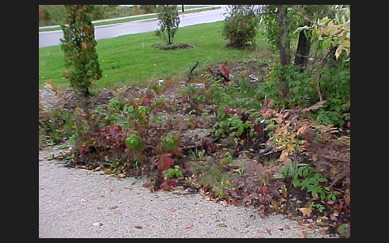 Wasaga Beach Subdivision (Baywood) site work