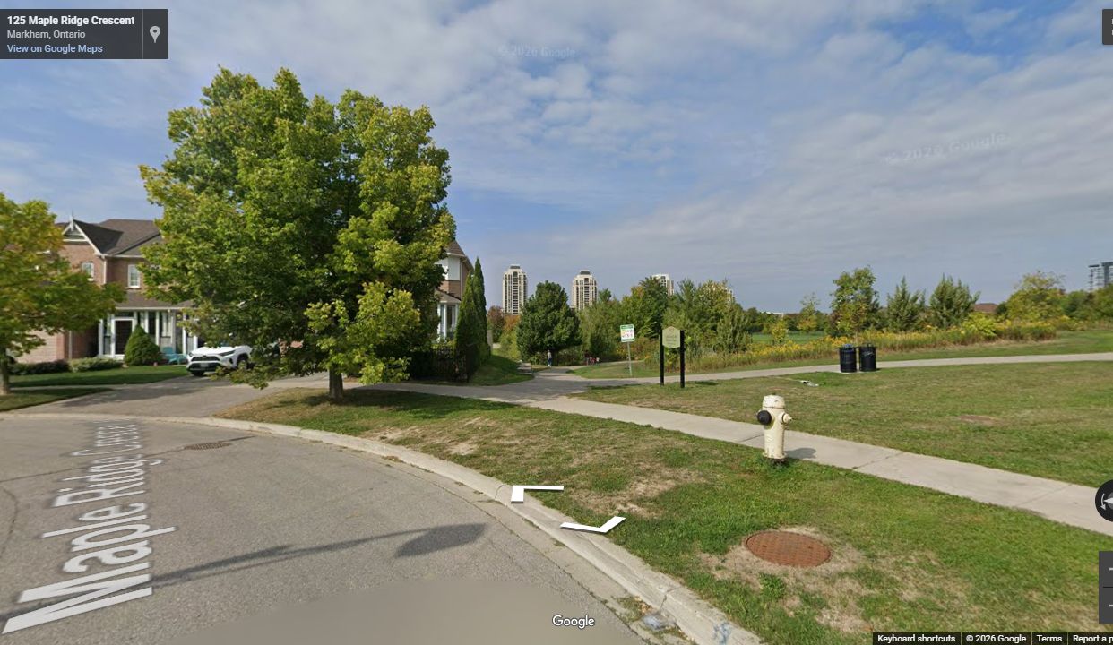 Finished Williamson Park edge and trail access above the completed storm sewer system